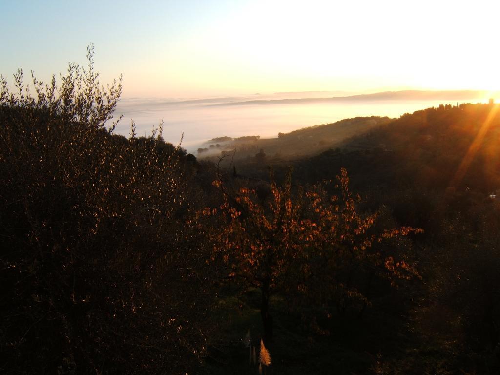 Villa Santa Maria Μονταλτσίνο Εξωτερικό φωτογραφία